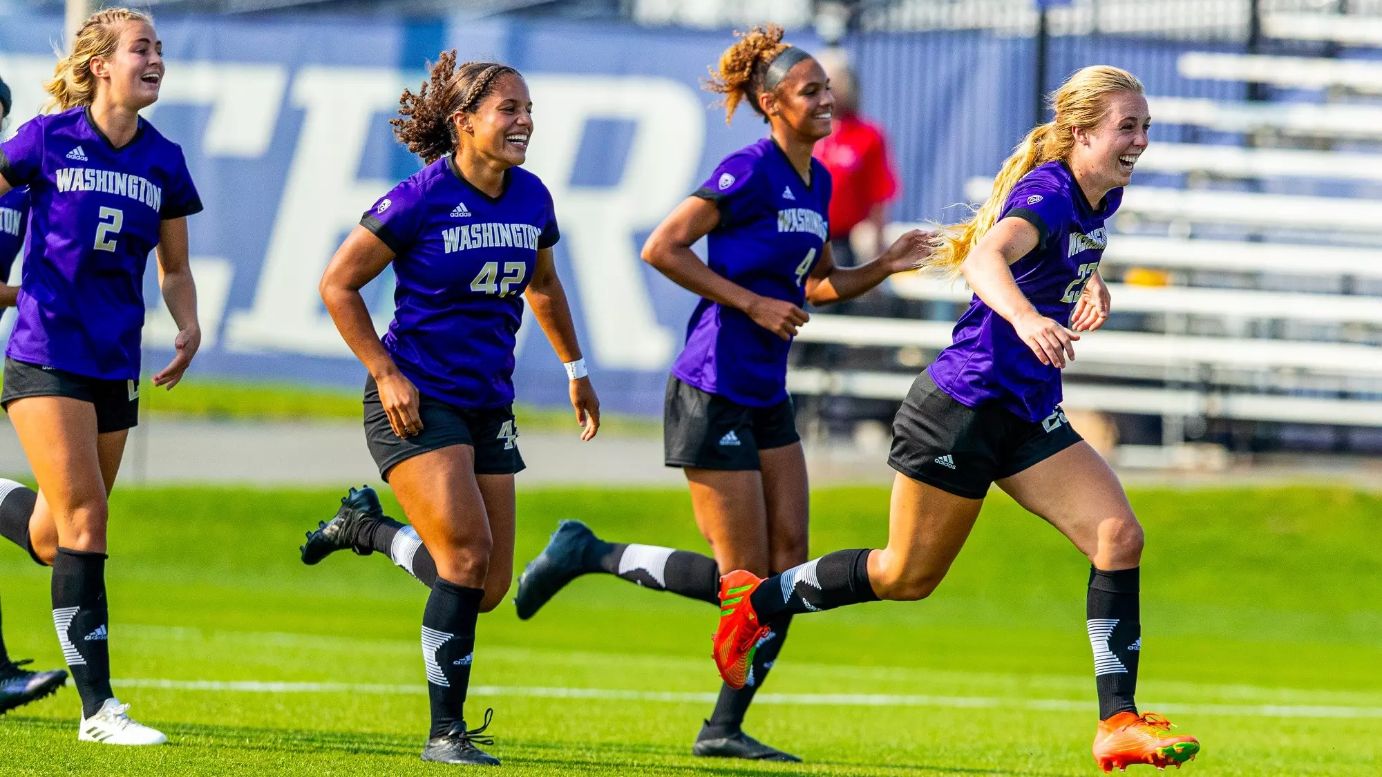 完美補充 完美補充