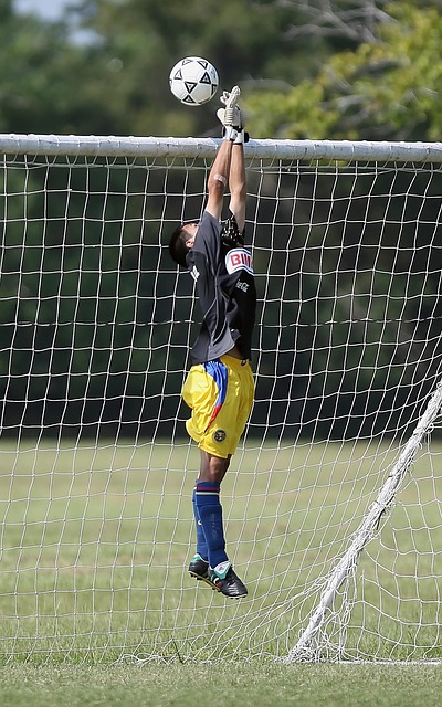 本文将深入 本文将深入